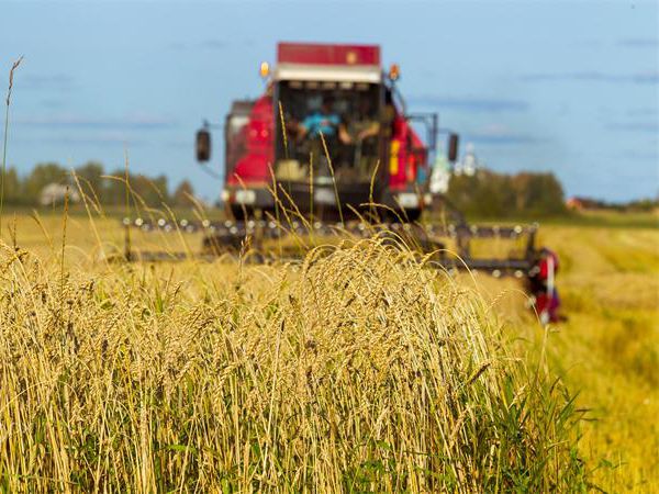 Гидравлические устройства для Комбайн